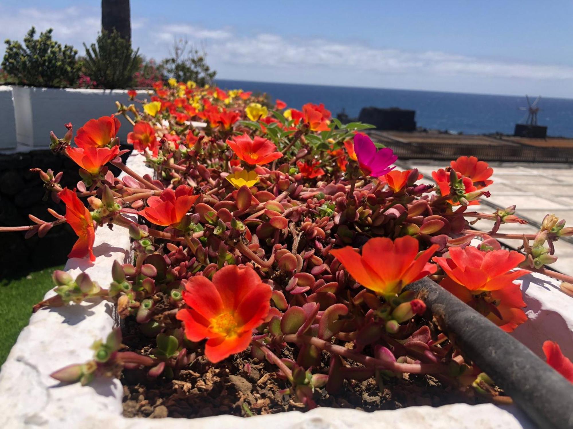 Playa Cancajos.- BreNa Baja  Vivienda Vacacional Sal Y Mar מראה חיצוני תמונה